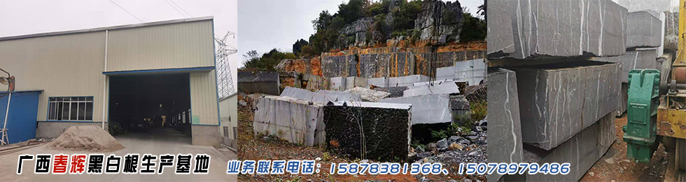 广西春辉黑白根生产基地www.shicai16.com的网站横幅图片